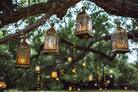 Wedding Lights Thumbnail